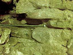 derrygola 1181.jpg